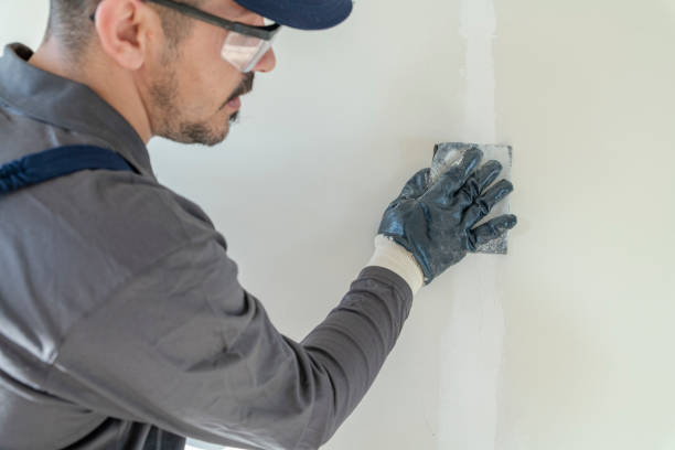 Trusted Grantsville, UT Mold Removal Experts