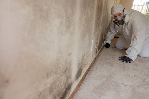 Best Mold Removal for HVAC Installations  in Grantsville, UT
